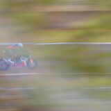 Le Mans Moto 2024-2960