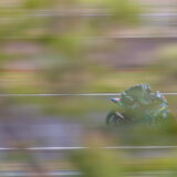 Le Mans Moto 2024-2967