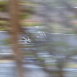 Le Mans Moto 2024-2993